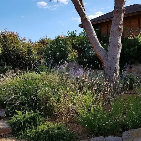Villa Du Pin 4 With Swimming Pool And Landscaped Garden